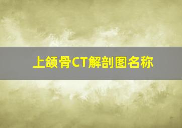 上颌骨CT解剖图名称