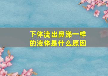 下体流出鼻涕一样的液体是什么原因