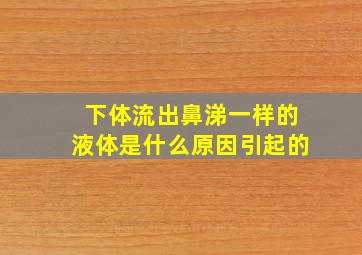 下体流出鼻涕一样的液体是什么原因引起的