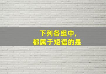 下列各组中,都属于短语的是