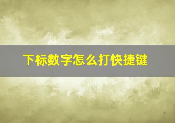 下标数字怎么打快捷键