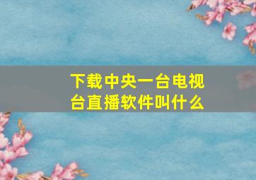 下载中央一台电视台直播软件叫什么