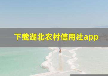 下载湖北农村信用社app