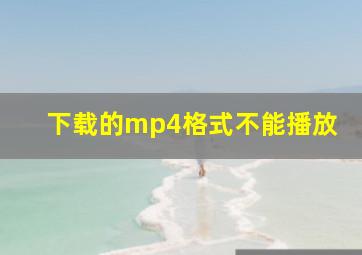 下载的mp4格式不能播放