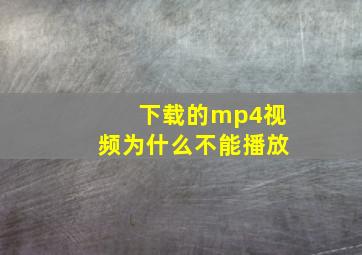 下载的mp4视频为什么不能播放