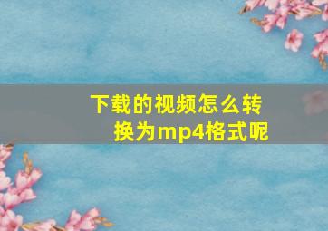 下载的视频怎么转换为mp4格式呢