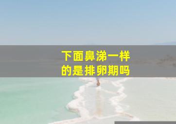 下面鼻涕一样的是排卵期吗