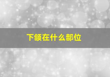 下颌在什么部位