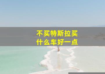 不买特斯拉买什么车好一点