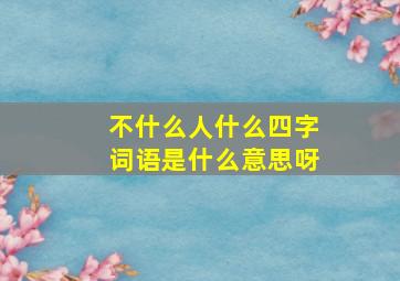 不什么人什么四字词语是什么意思呀