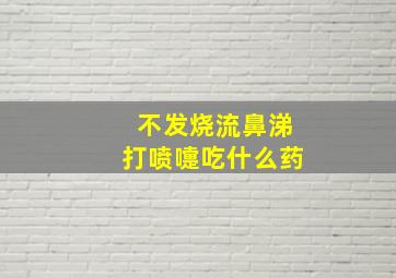 不发烧流鼻涕打喷嚏吃什么药