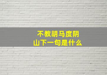 不教胡马度阴山下一句是什么