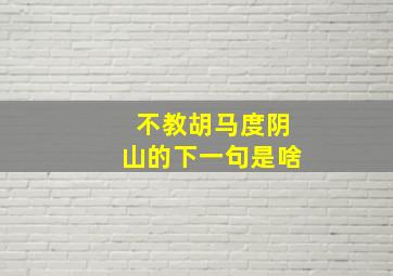 不教胡马度阴山的下一句是啥