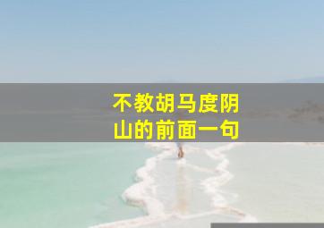 不教胡马度阴山的前面一句