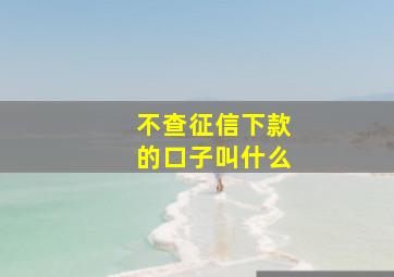 不查征信下款的口子叫什么