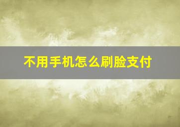 不用手机怎么刷脸支付