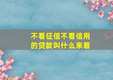 不看征信不看信用的贷款叫什么来着