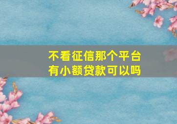 不看征信那个平台有小额贷款可以吗