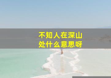 不知人在深山处什么意思呀