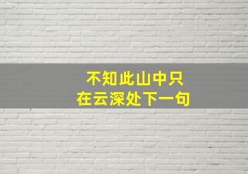 不知此山中只在云深处下一句