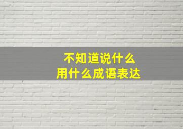 不知道说什么用什么成语表达