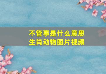 不管事是什么意思生肖动物图片视频