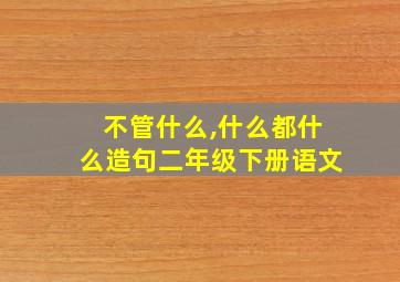 不管什么,什么都什么造句二年级下册语文