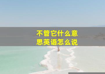 不管它什么意思英语怎么说