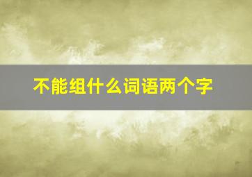 不能组什么词语两个字