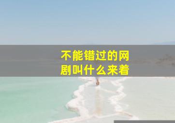 不能错过的网剧叫什么来着