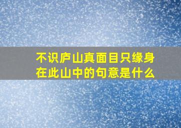 不识庐山真面目只缘身在此山中的句意是什么