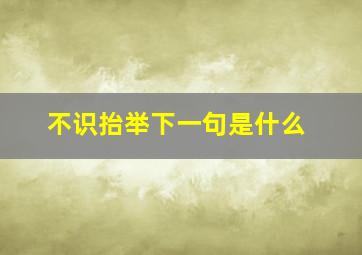 不识抬举下一句是什么