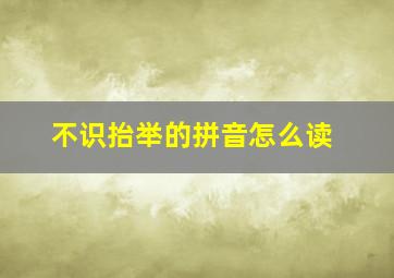 不识抬举的拼音怎么读