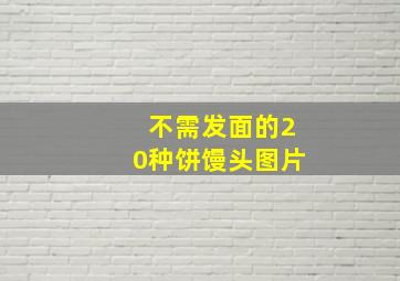 不需发面的20种饼馒头图片