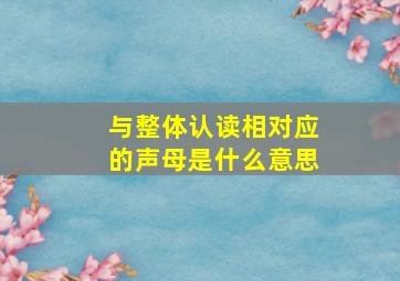 与整体认读相对应的声母是什么意思