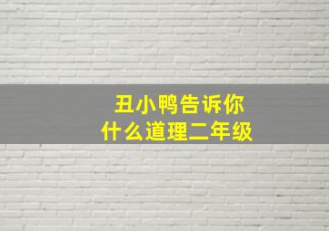 丑小鸭告诉你什么道理二年级