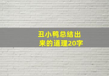 丑小鸭总结出来的道理20字