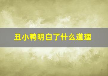 丑小鸭明白了什么道理