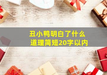 丑小鸭明白了什么道理简短20字以内