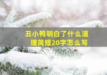 丑小鸭明白了什么道理简短20字怎么写