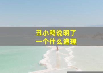 丑小鸭说明了一个什么道理