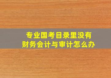 专业国考目录里没有财务会计与审计怎么办