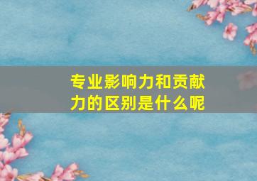 专业影响力和贡献力的区别是什么呢