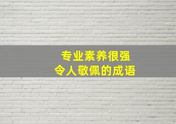 专业素养很强令人敬佩的成语