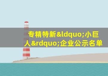 专精特新“小巨人”企业公示名单