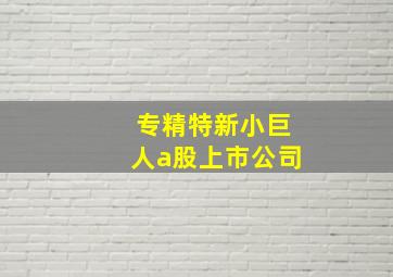 专精特新小巨人a股上市公司