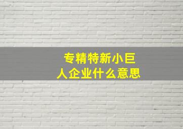 专精特新小巨人企业什么意思