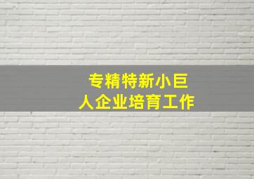 专精特新小巨人企业培育工作