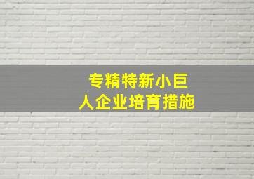 专精特新小巨人企业培育措施