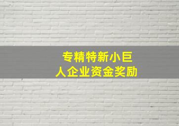 专精特新小巨人企业资金奖励